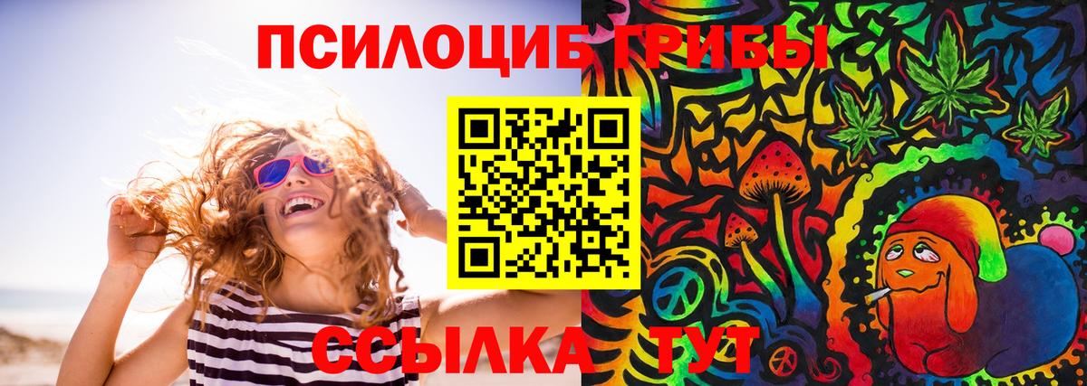 Псилоцибиновые грибы мицелий Мичуринск