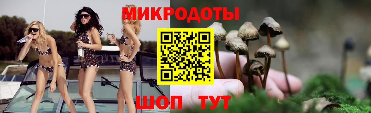 Мичуринск  Псилоцибиновые грибы Cubensis  Вход с VPN 